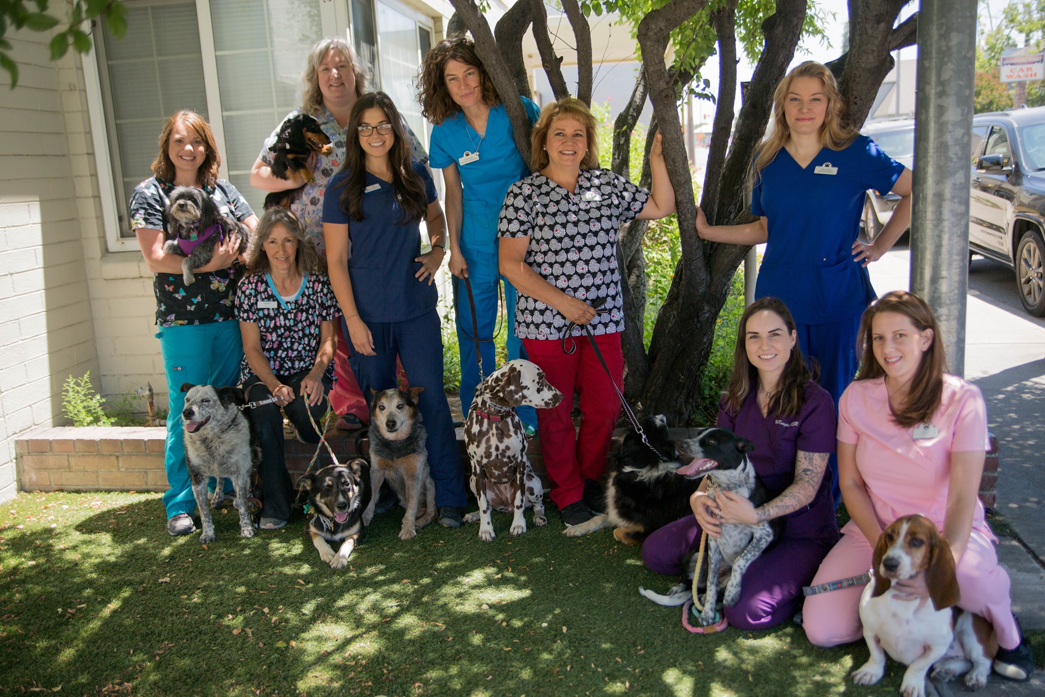 Employment in Lodi, CA Lodi Veterinary Hospital